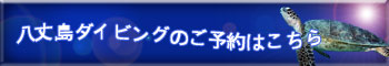 ���䓇�@�_�C�r���O�̂��\��͂�����
